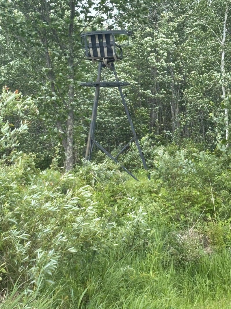 10750 Groningen Rd, Sandstone, MN 55072