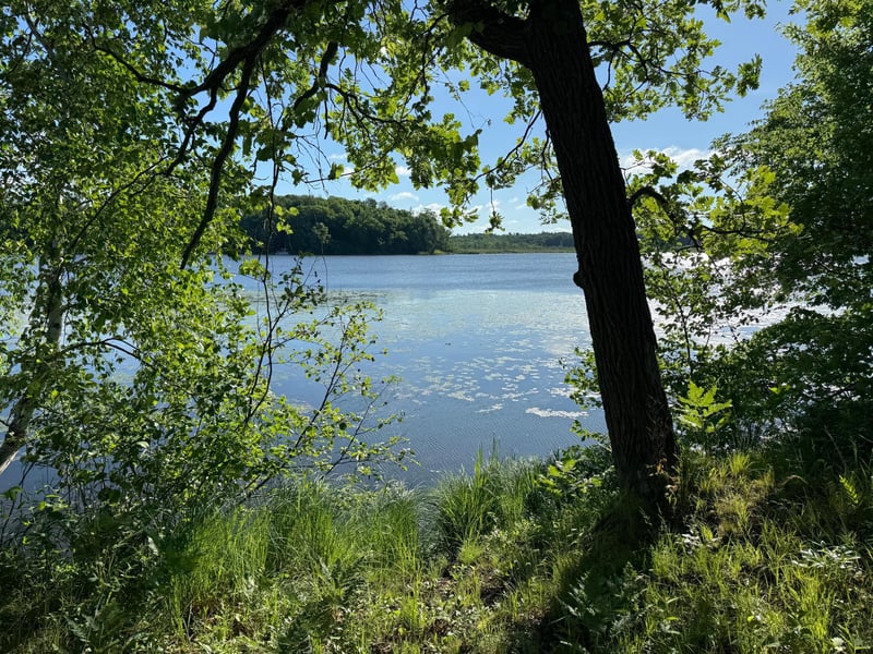 TBD Sathre Ln, Shell Lake, WI 54871