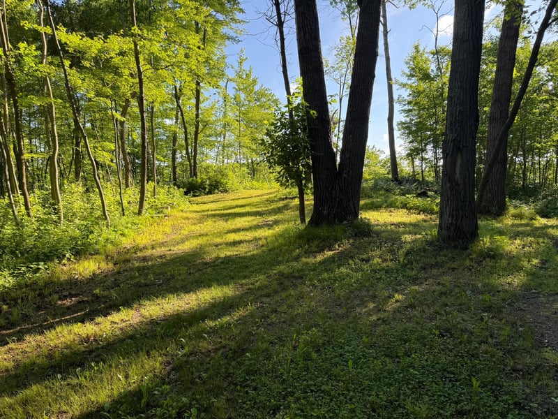 TBD Sathre Ln, Shell Lake, WI 54871