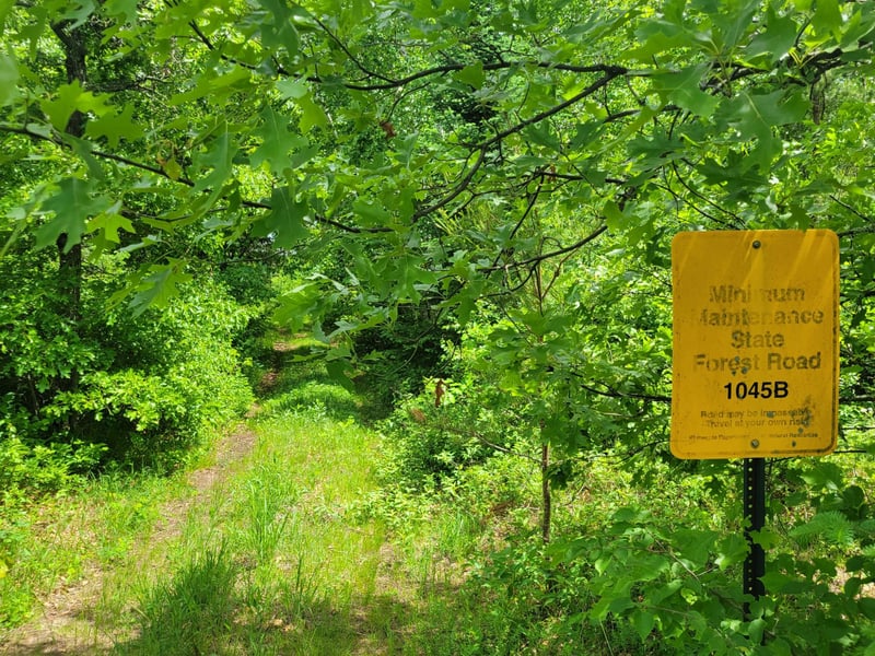 1045B State Trl, Nevis, MN 56467
