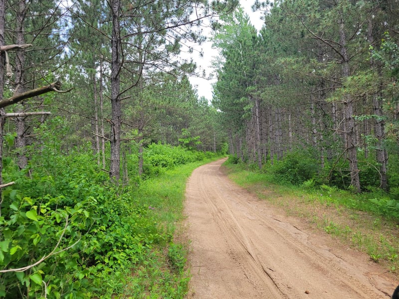 1045B State Trl, Nevis, MN 56467