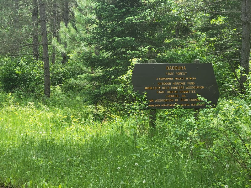 1045B State Trl, Nevis, MN 56467