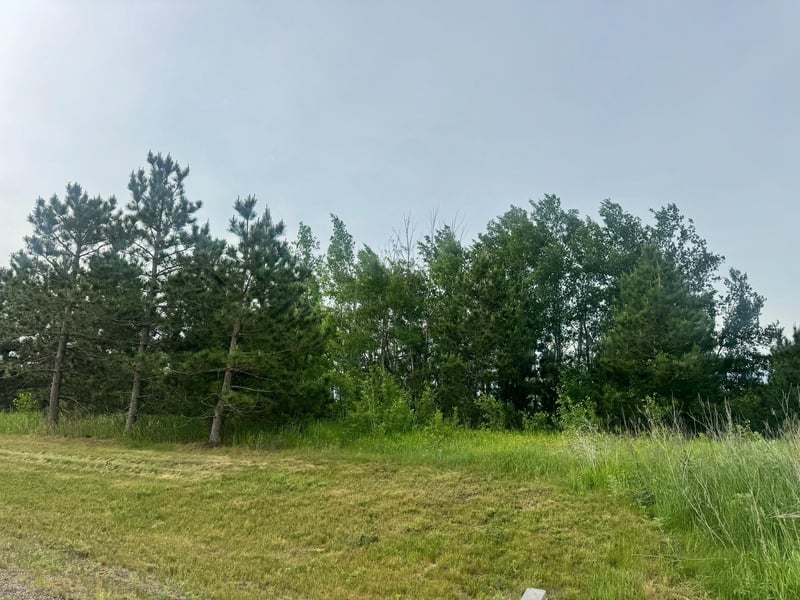 TBD Tract 3 County 13, Nevis, MN 56467