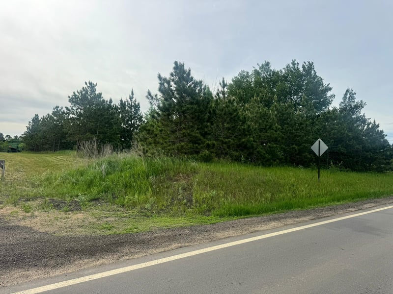 TBD Tract 3 County 13, Nevis, MN 56467