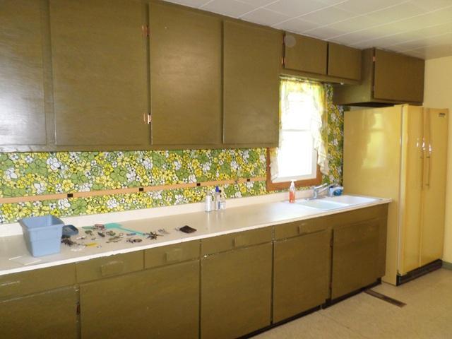 201 Greenwood St E, Thief River Falls, MN 56701