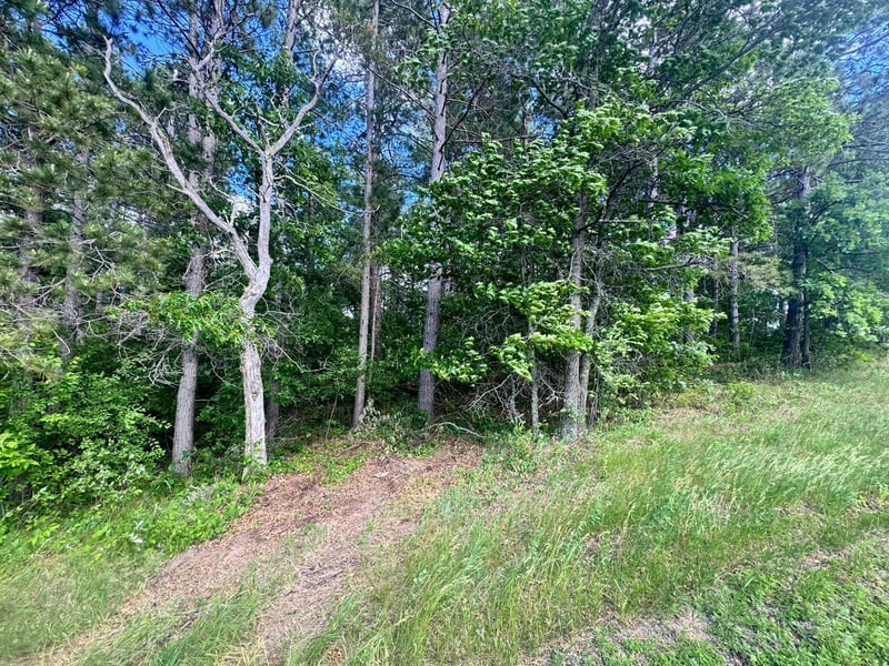 TBD Tract 1 County 13, Nevis, MN 56467