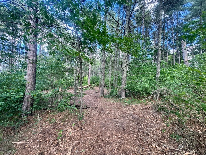 TBD Tract 1 County 13, Nevis, MN 56467