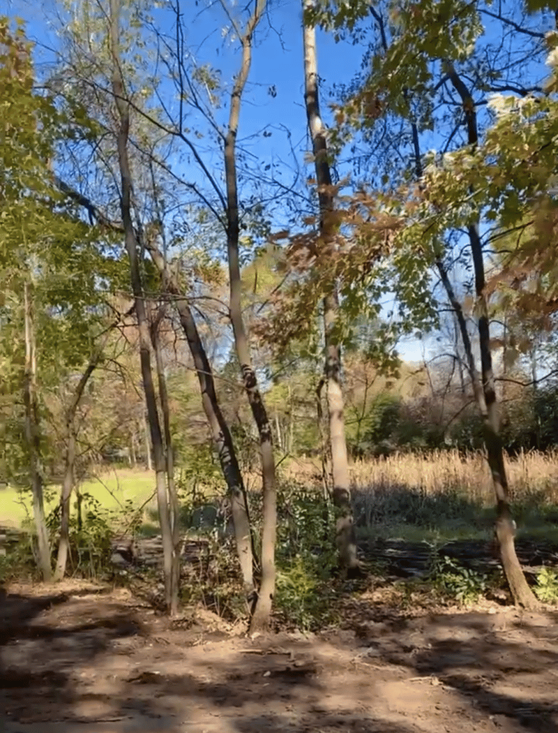 13600 347th St, Lindstrom, MN 55045
