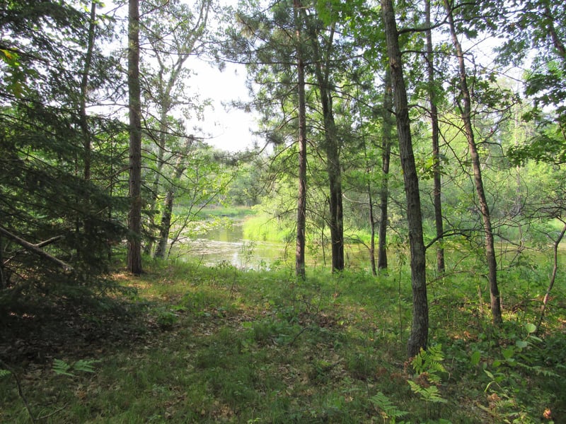 LOTS 5-11 TBD FRONT STREET Front St, Pine River, MN 56474