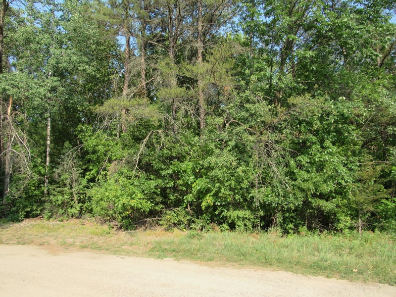 LOTS 5-11 TBD FRONT STREET Front St, Pine River, MN 56474