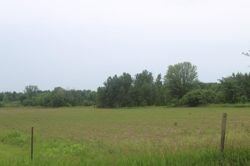 TBD-1 120th Ave, Ogilvie, MN 56358