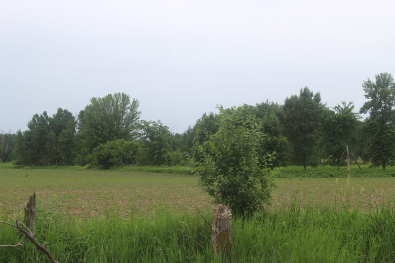 TBD-1 120th Ave, Ogilvie, MN 56358