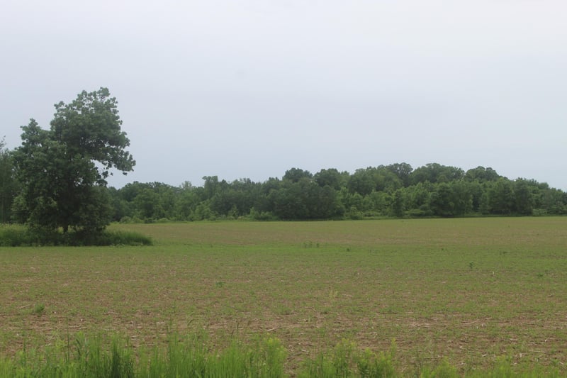 TBD-1 120th Ave, Ogilvie, MN 56358