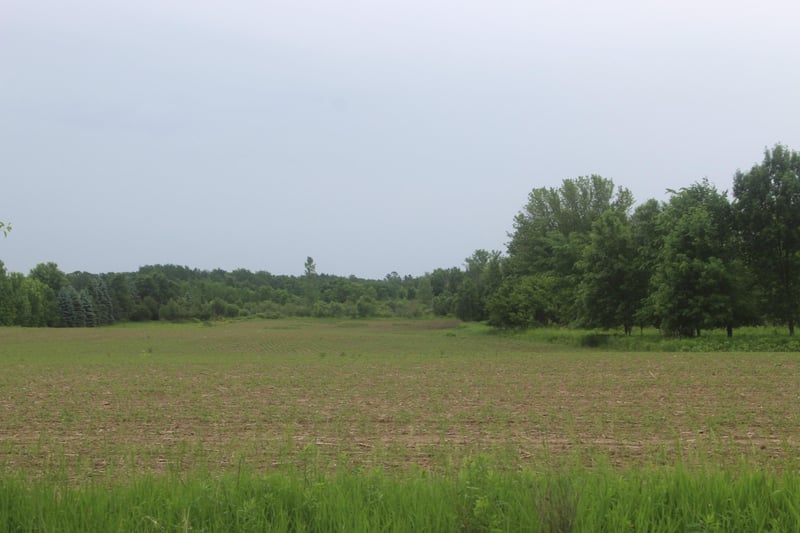 TBD-1 120th Ave, Ogilvie, MN 56358