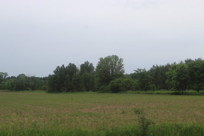 TBD-1 120th Ave, Ogilvie, MN 56358