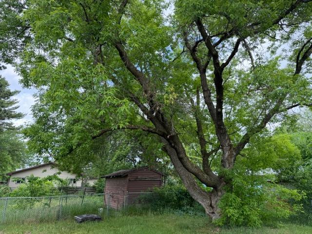 407 Lake Ave, Park Rapids, MN 56470