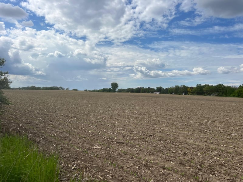 TBD Highway 56, Le Roy, MN 55951