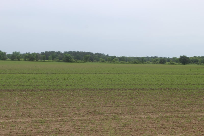 1021 120th Ave, Ogilvie, MN 56358