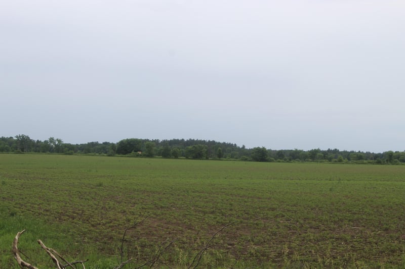 1021 120th Ave, Ogilvie, MN 56358