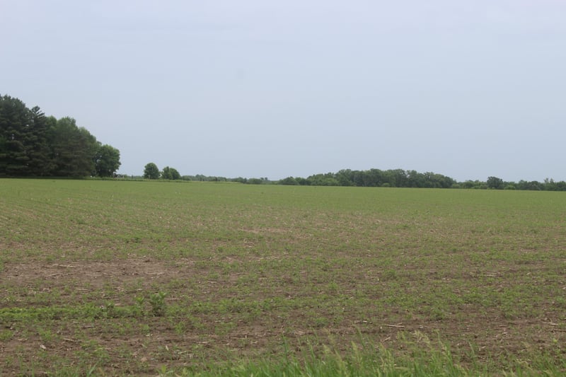TBD-2 120th Ave, Ogilvie, MN 56358