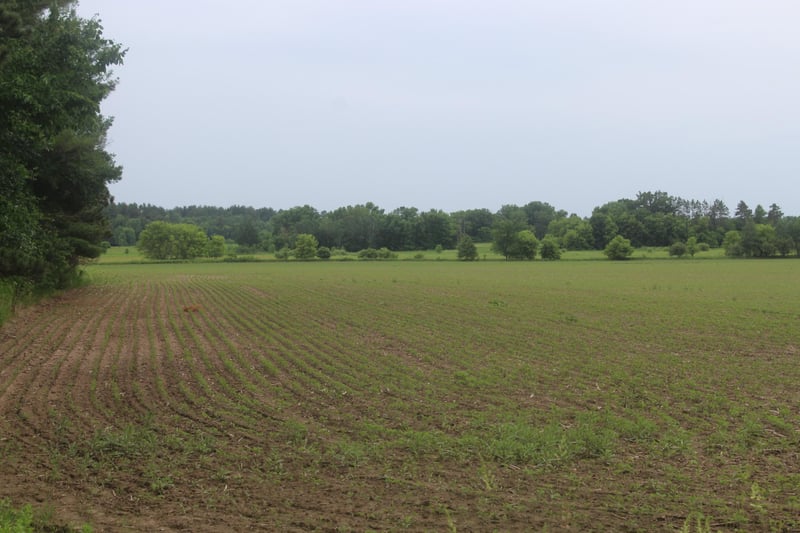 TBD-2 120th Ave, Ogilvie, MN 56358