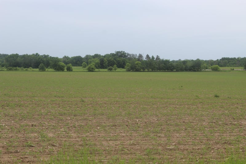 TBD-2 120th Ave, Ogilvie, MN 56358