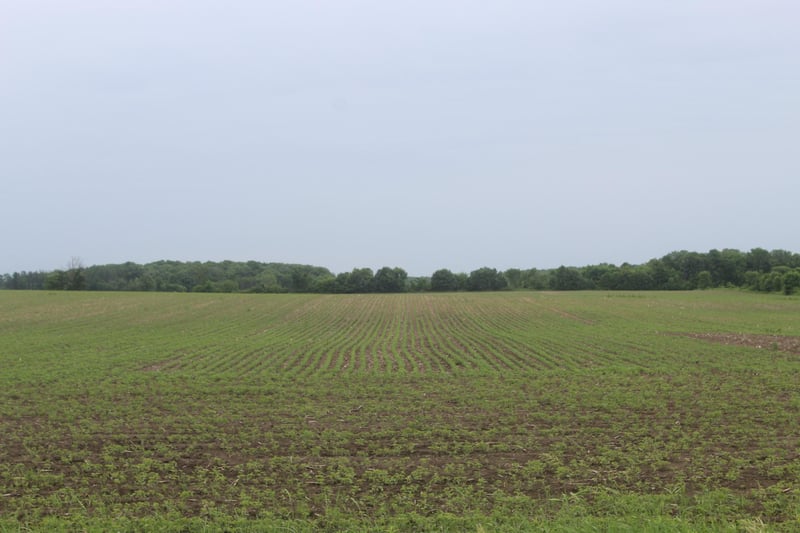 TBD-2 120th Ave, Ogilvie, MN 56358