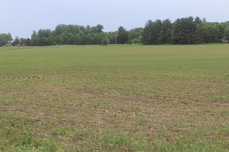 TBD-2 120th Ave, Ogilvie, MN 56358