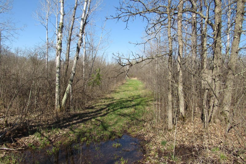 TBD-1 County Road 41, Willow River, MN 55795
