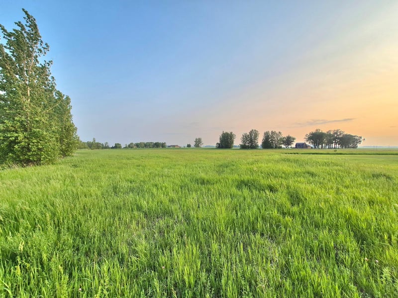 XXX Frenzel Dr, Arlington, MN 55307