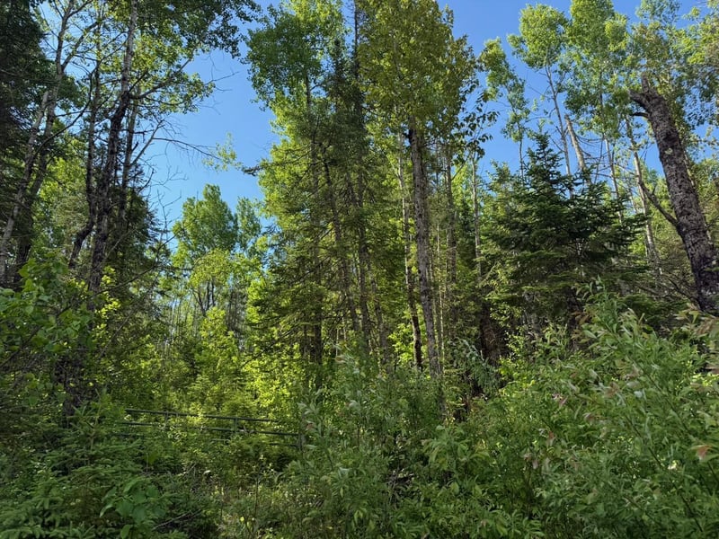 1576 County Road 8, Holyoke, MN 55749