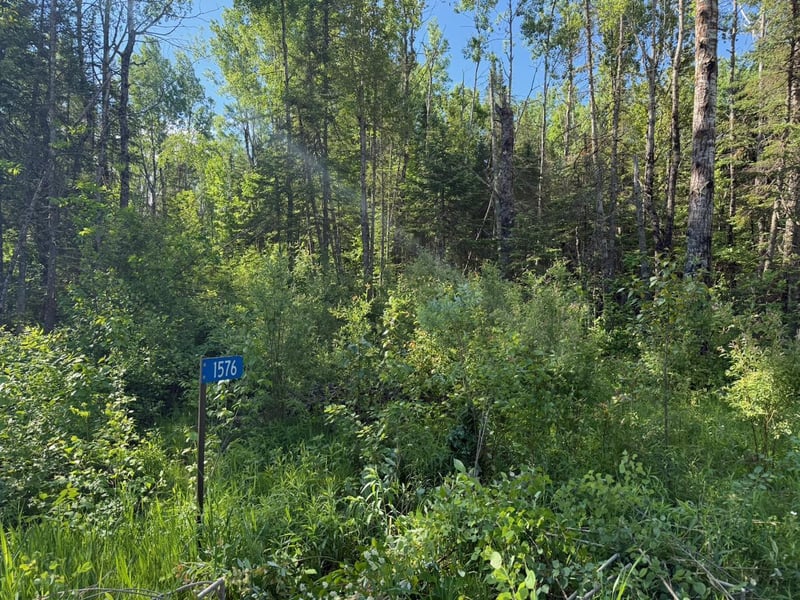 1576 County Road 8, Holyoke, MN 55749