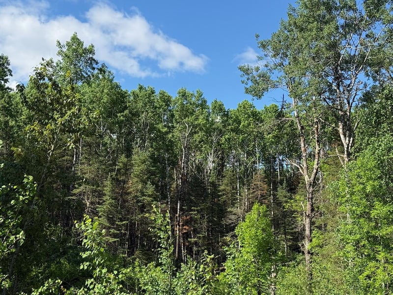 1576 County Road 8, Holyoke, MN 55749