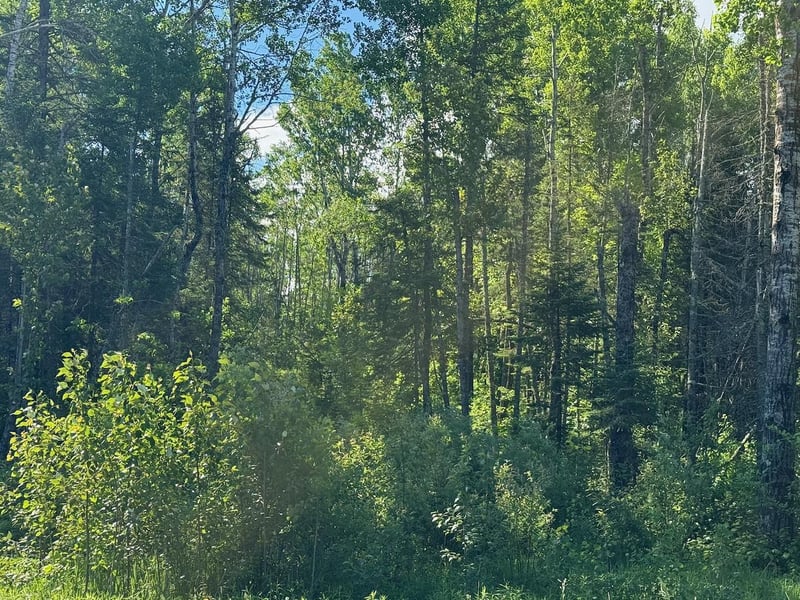 1576 County Road 8, Holyoke, MN 55749