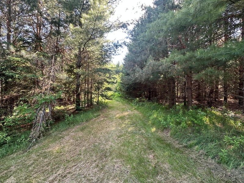 TBD State Highway 23, Sandstone, MN 55072