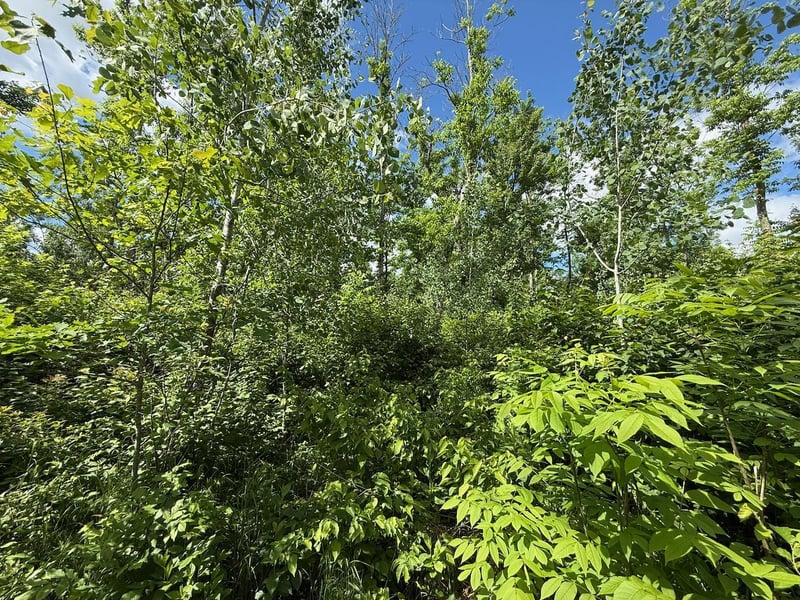 63872 Kingsdale Rd, Sandstone, MN 55072