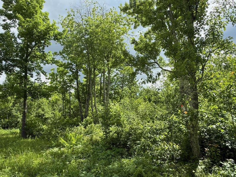 63872 Kingsdale Rd, Sandstone, MN 55072