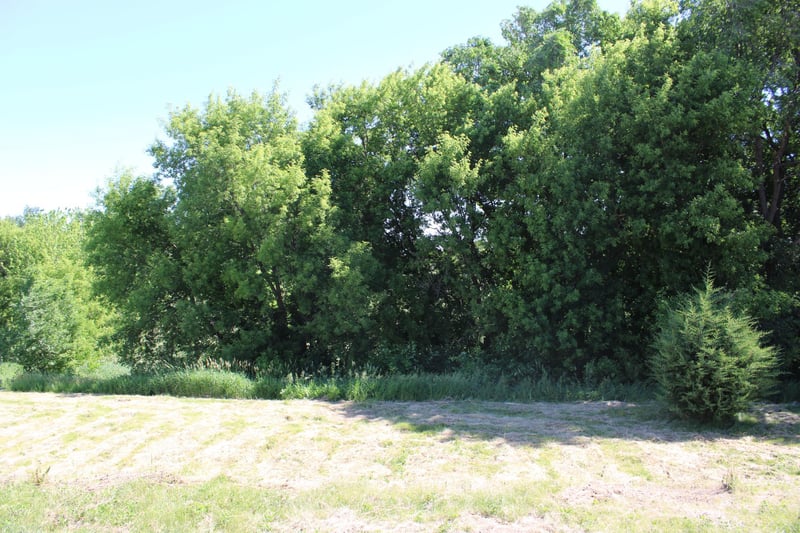 1359 Southfork Dr SE, Hutchinson, MN 55350