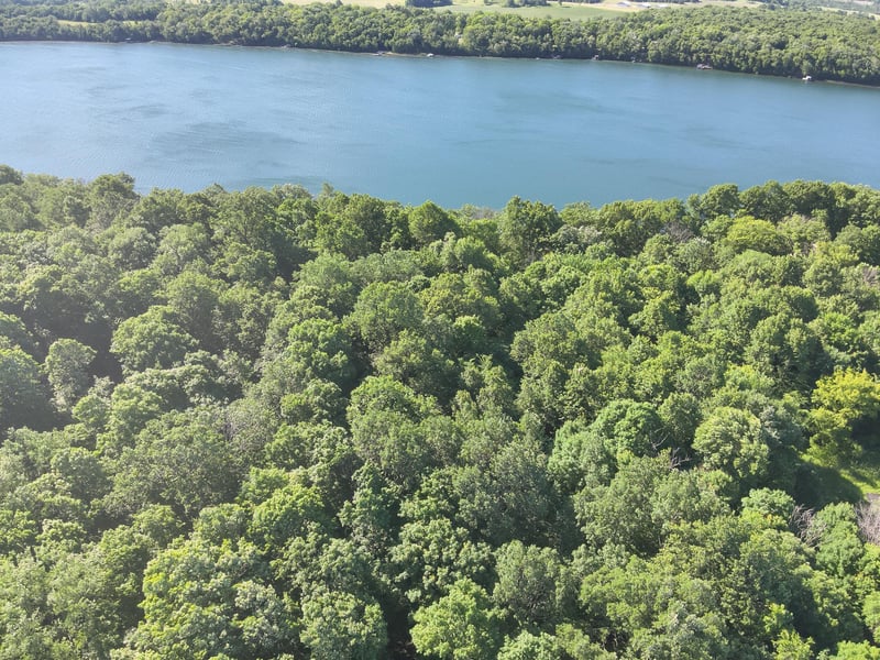 3XXXX 407th St, Dent, MN 56528