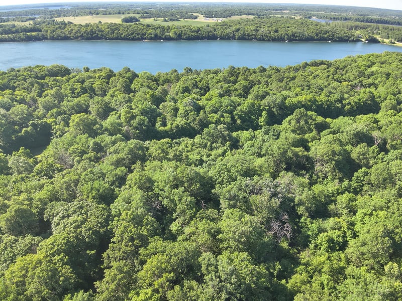 XXXXX 407th St, Dent, MN 56528