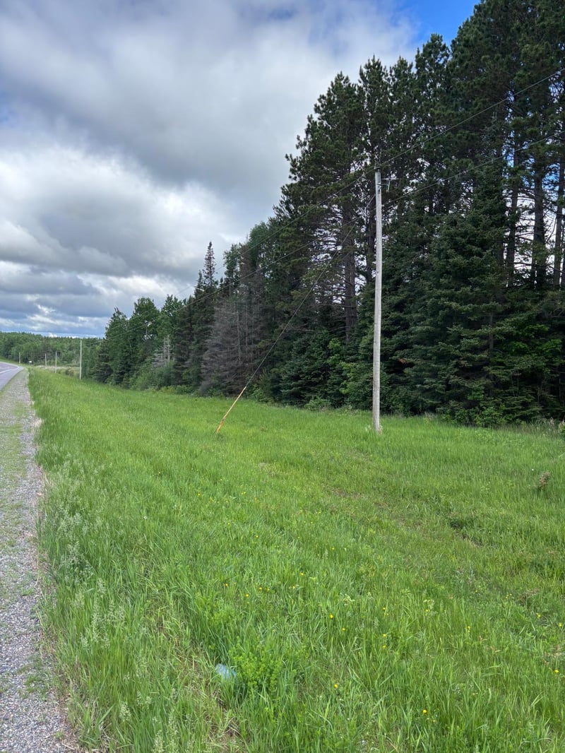 XXX Town Line Rd, Bassett Twp, MN 55602