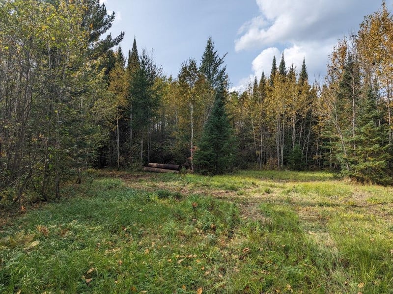 TBD Deer River Line, Littlefork, MN 56653