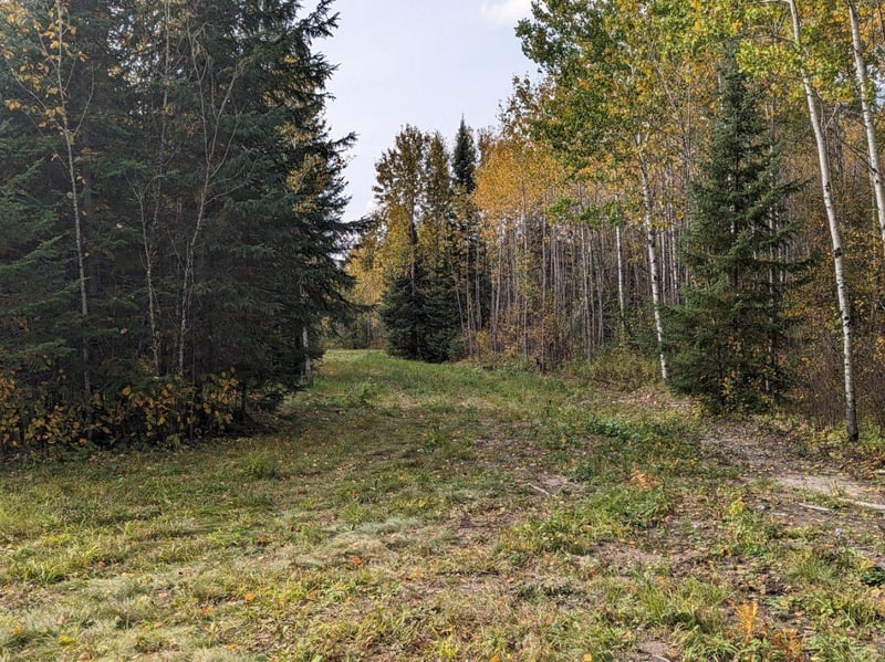 TBD Deer River Line, Littlefork, MN 56653