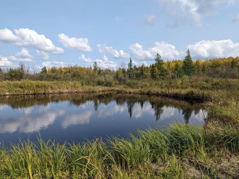 TBD Deer River Line, Littlefork, MN 56653