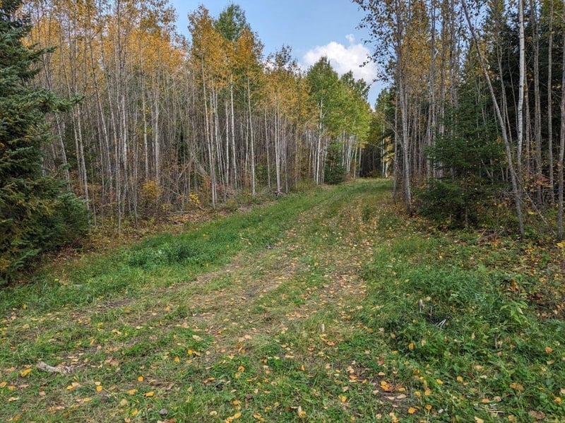TBD Deer River Line, Littlefork, MN 56653