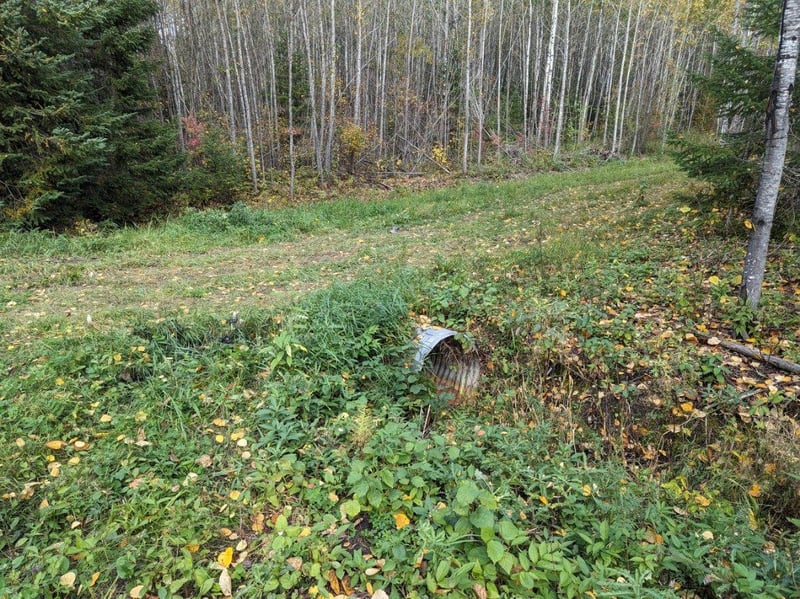 TBD Deer River Line, Littlefork, MN 56653