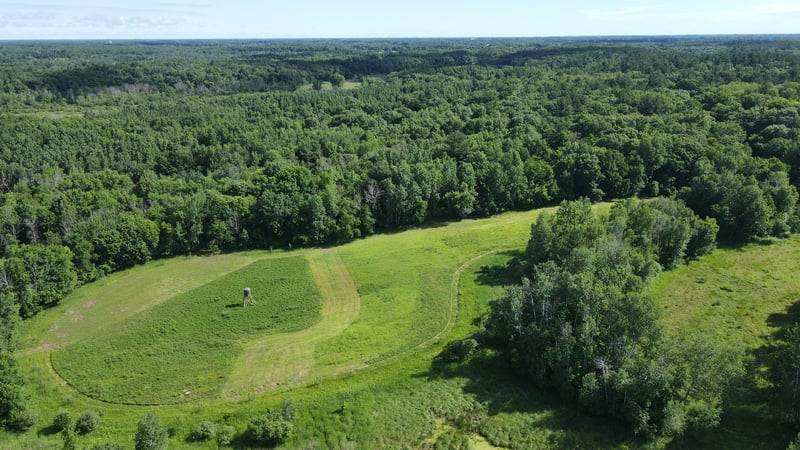 37102 Grandy Pines Rd NE, Stanchfield, MN 55080