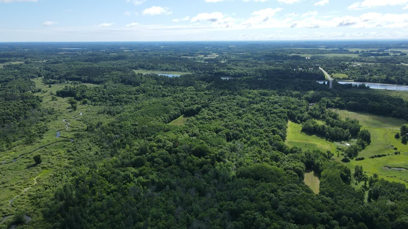37102 Grandy Pines Rd NE, Stanchfield, MN 55080