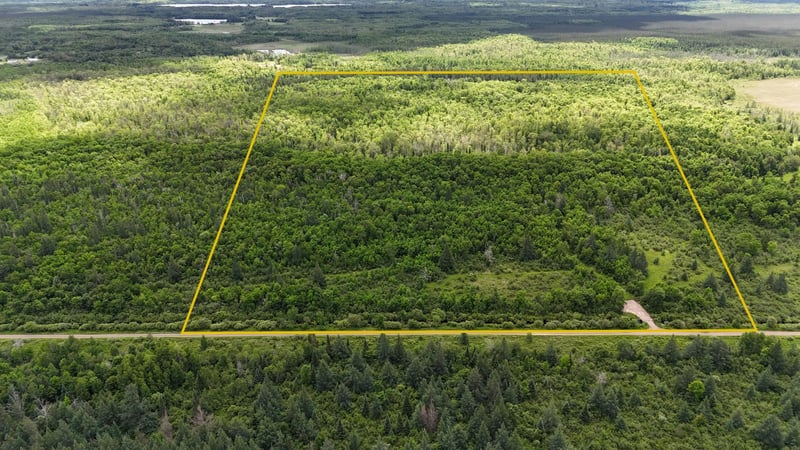 11840 Rice Haven Rd, Floodwood, MN 55736