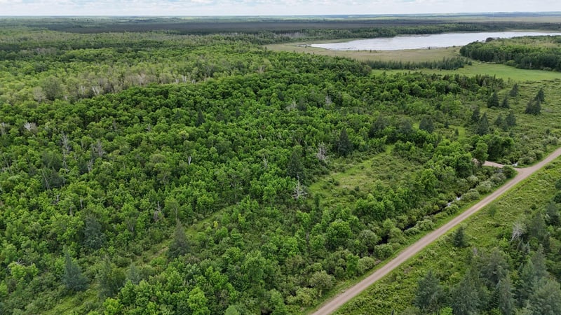 11840 Rice Haven Rd, Floodwood, MN 55736